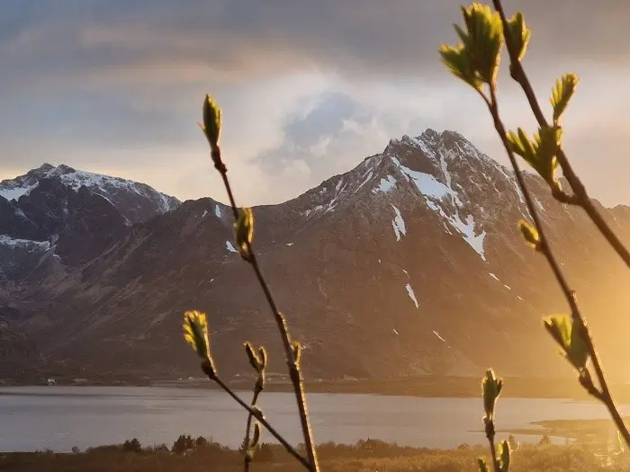 Borg, Lofoten