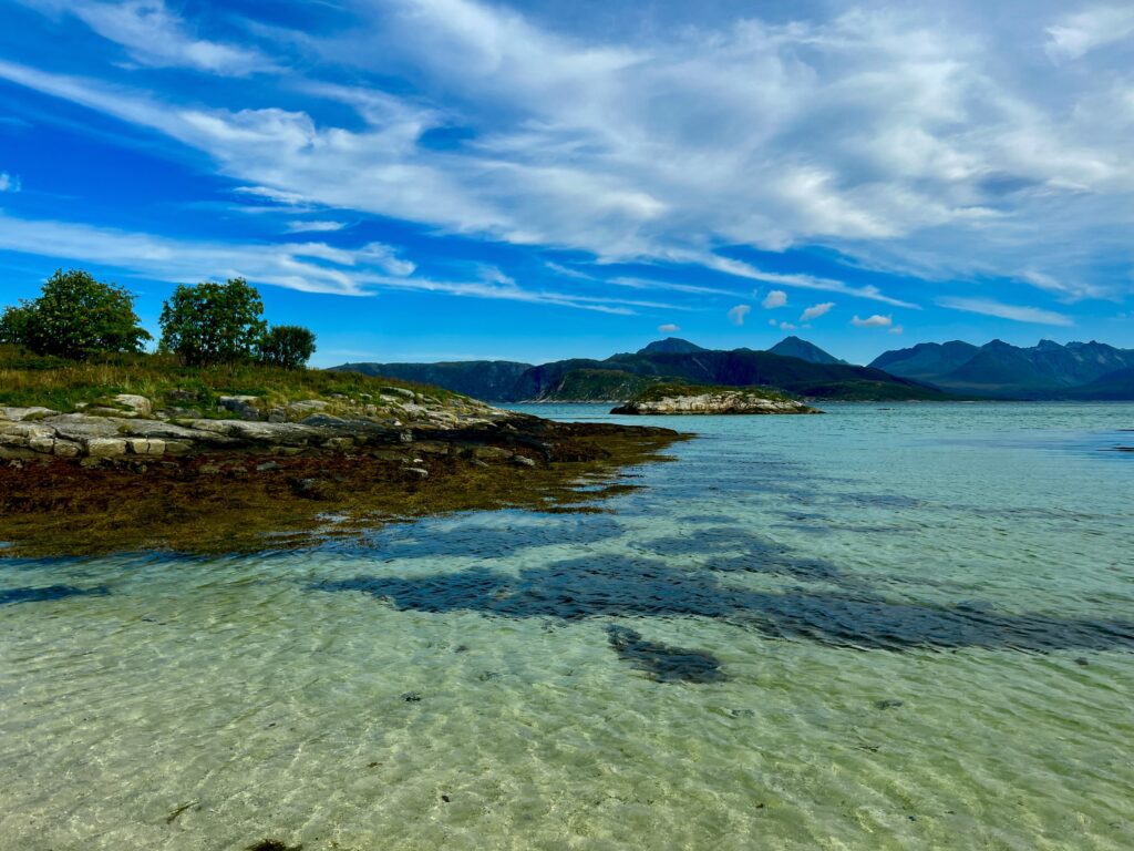 Tropical…. Sommarøy_