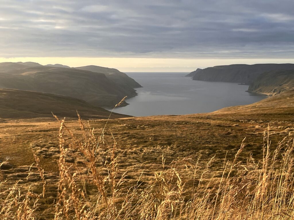 Der Weg Ist Das Ziel – Auf Zum Nordkap