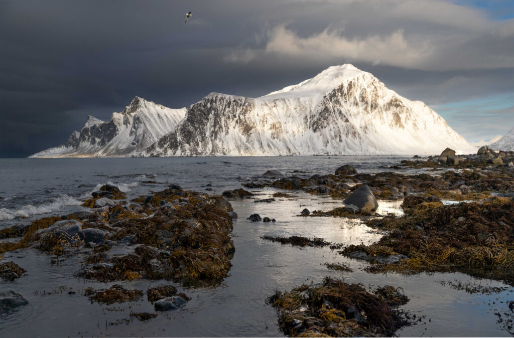Bright mountain and shoreline in Lofoten