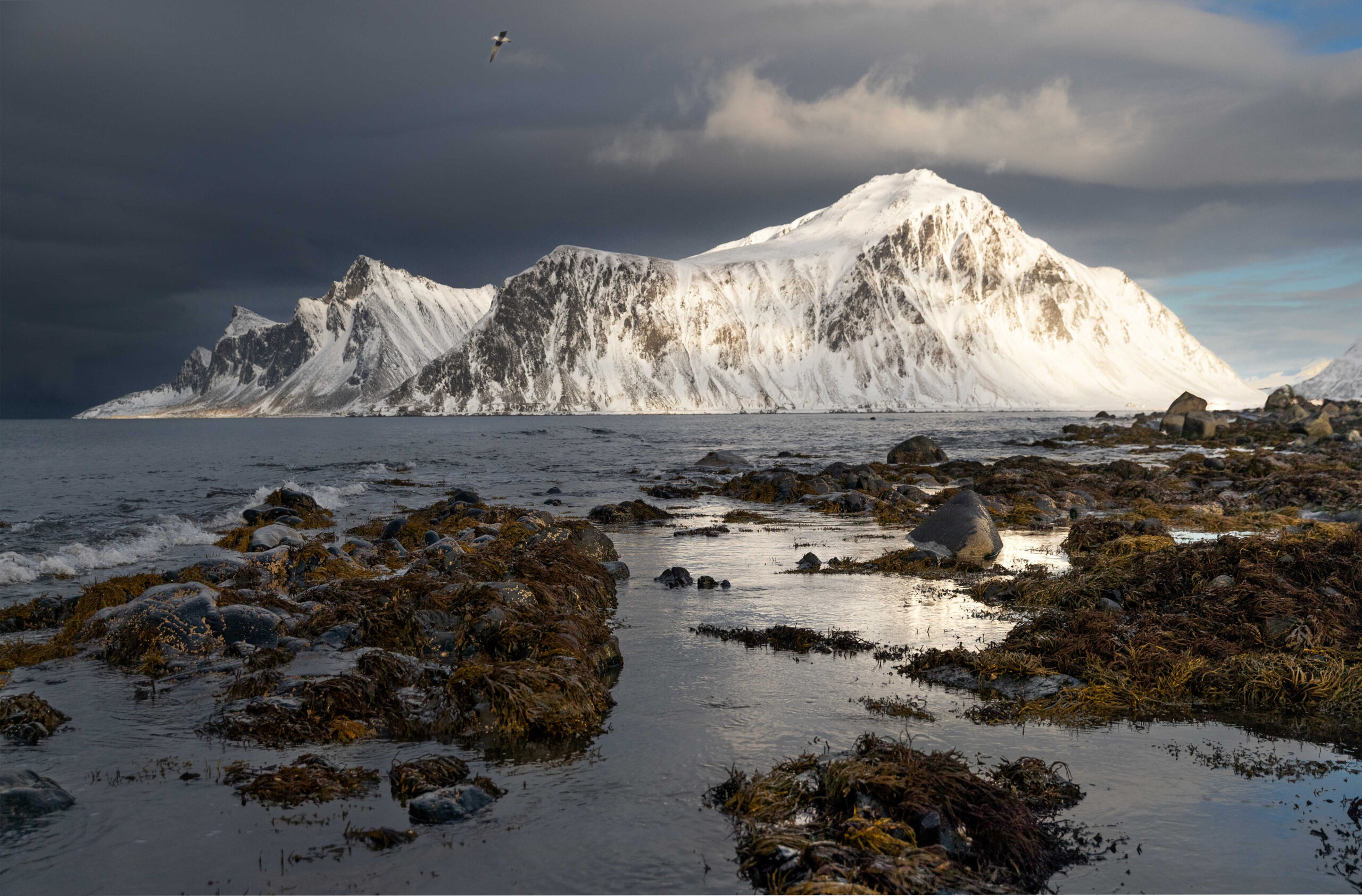 Bright mountain and shoreline in Lofoten