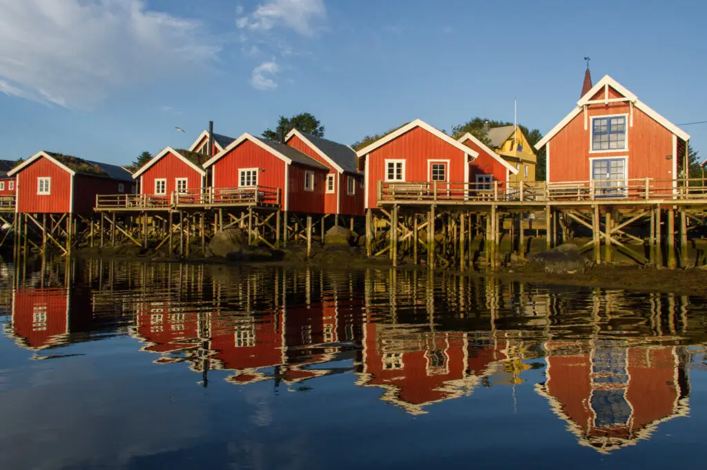 Reine