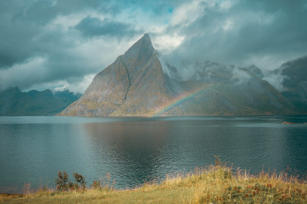 hamnoy dino vani 02